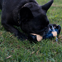 🚀 Kim Jong-un Parody Dog Toy