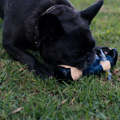 🚀 Kim Jong-un Parody Dog Toy