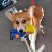 🐶 Donald Trump Parody Dog Toy