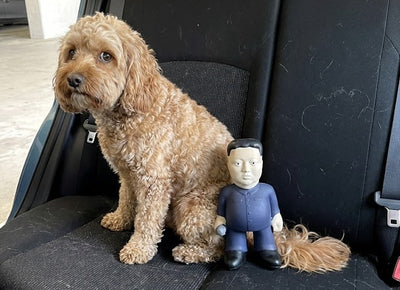🚀 Kim Jong-un Parody Dog Toy
