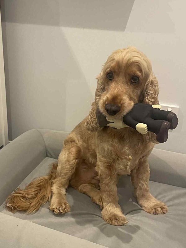 🤖 Elon Musk Parody Dog Toy