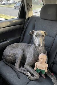 Dog sitting in a car with a small Putin figurine on the seat