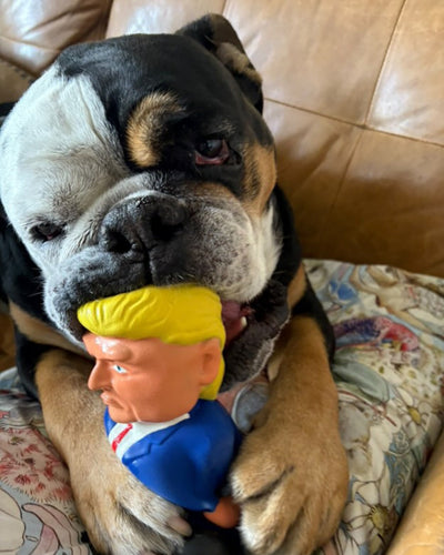 MEGA Trump Dog Toy
