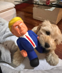 🥶 Cold War Comrades